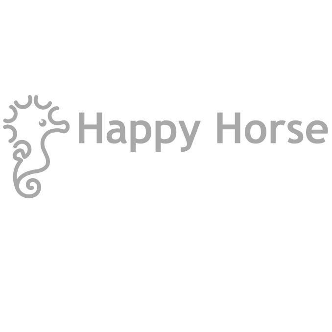 Happy Horse bij Little Twinkle