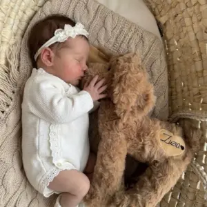 Melootka pluche hondenknuffel 35cm bruin